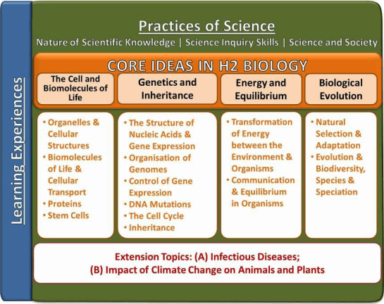 Curriculum Framework H2 Biology